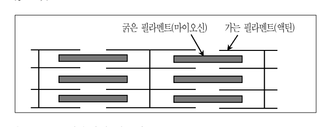 2014년 9급 공개경쟁채용시험 과학 13번 공식 문제지 도표 또는 그림