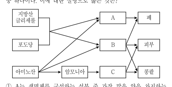 2018년 제2회 지방직공무원 시험(7급) 생물(지방9급고졸경채) 7번 공식 문제지 도표 또는 그림