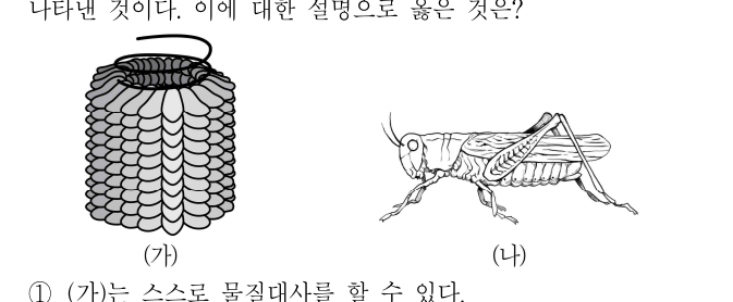 2019년 제2회 지방직공무원 시험(7급) 생물(지방9급고졸경채) 13번 공식 문제지 도표 또는 그림