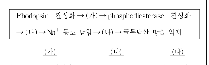 2020년 제2회 지방직공무원 시험(7급) 생물학개론(지방7급) 15번 공식 문제지 도표 또는 그림