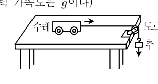 2013년 제1회 지방직공무원 시험 과학(지방9급) 20번 공식 문제지 도표 또는 그림