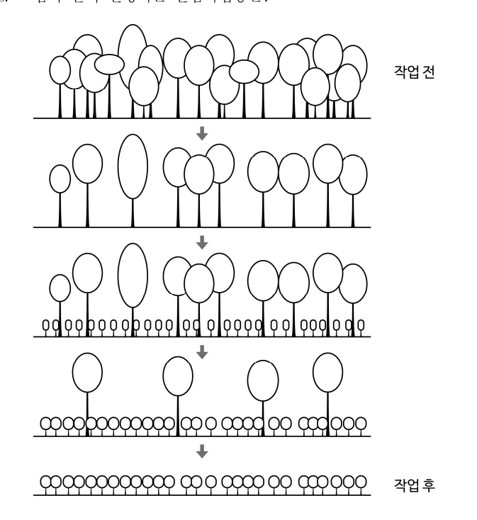 2019년 제1회 지방직공무원 시험 조림(지방9급) 8번 공식 문제지 도표 또는 그림