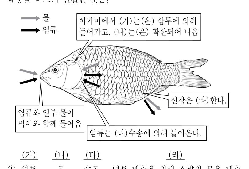 2019년 7급 공개경쟁채용시험 생물학개론 16번 공식 문제지 도표 또는 그림
